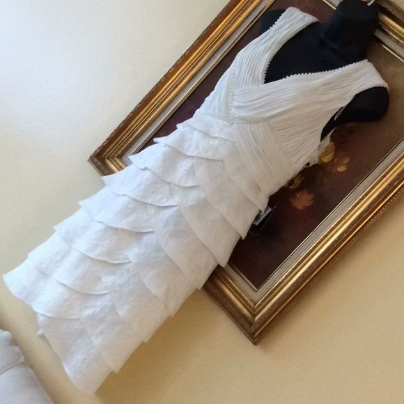 Gorgeous 💞ADRIANNA PAPELL💞 dress - Picture 5 of 8